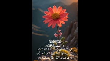 سورة الكافرون عبدالله المطرود