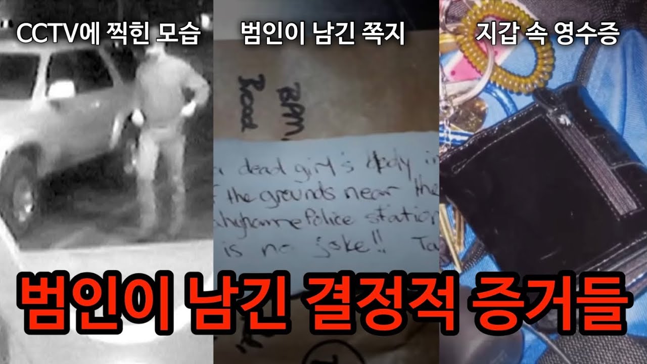 [모음집] 결정적 증거를 남긴 범인들. 40분 몰아보기