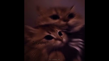 Thumbnail of Declan J Donovan - Numb || Lyrics_Whatsapptatus// Xml file check in descriptionJeang editz