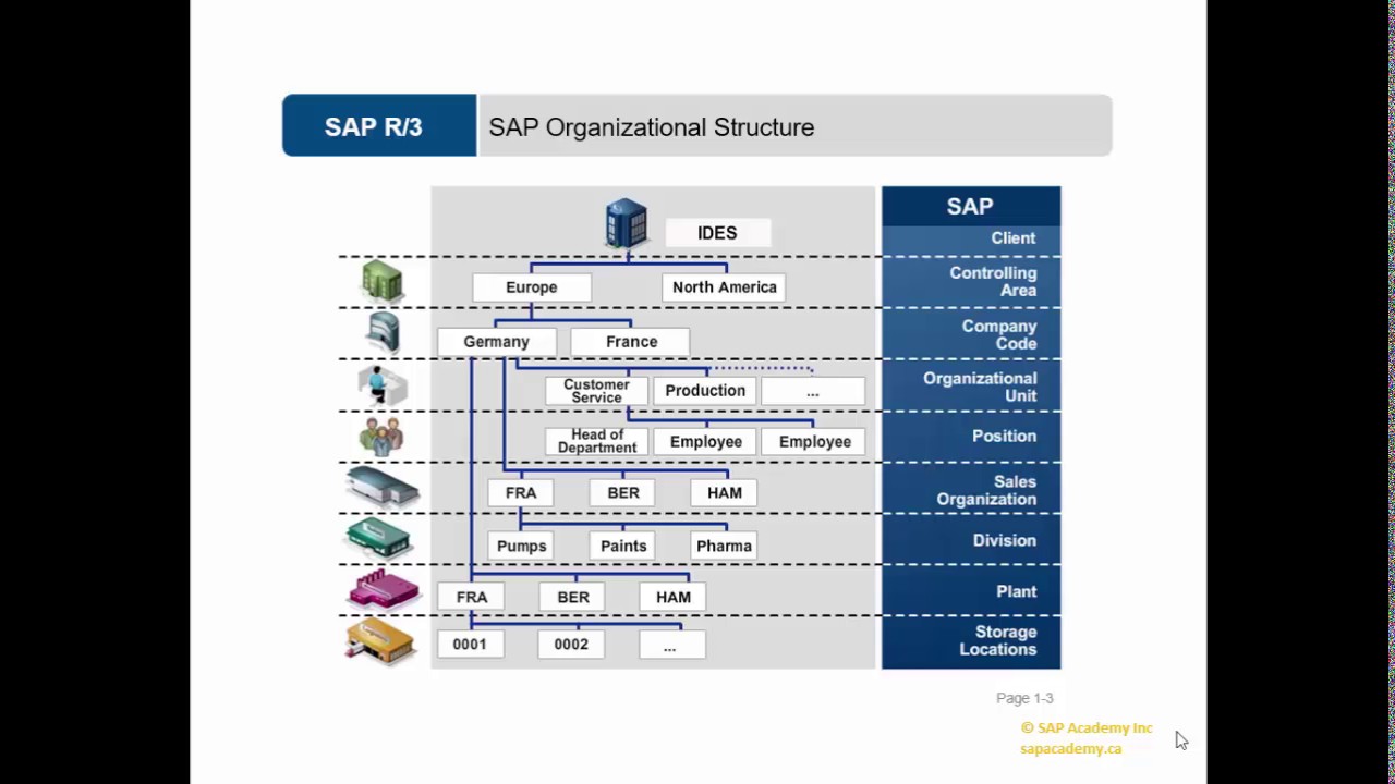 Sap Sd Organizational Structure Flow Chart