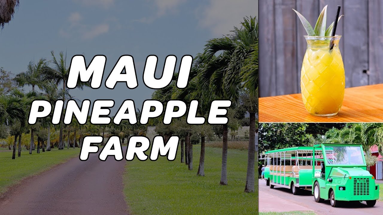See the Maui Pineapple farm food tour & Mill House Restaurant menu at