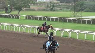 Techno Viking (Forty Tales) H. Rancho Fatima 16.06.26