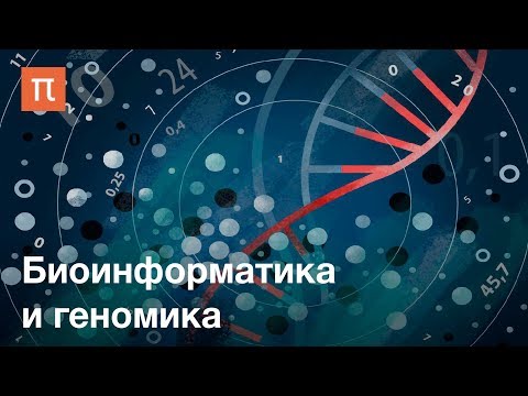 Видео: Последние достижения в понимании опосредованной стромой химиорезистентности при раке молочной железы