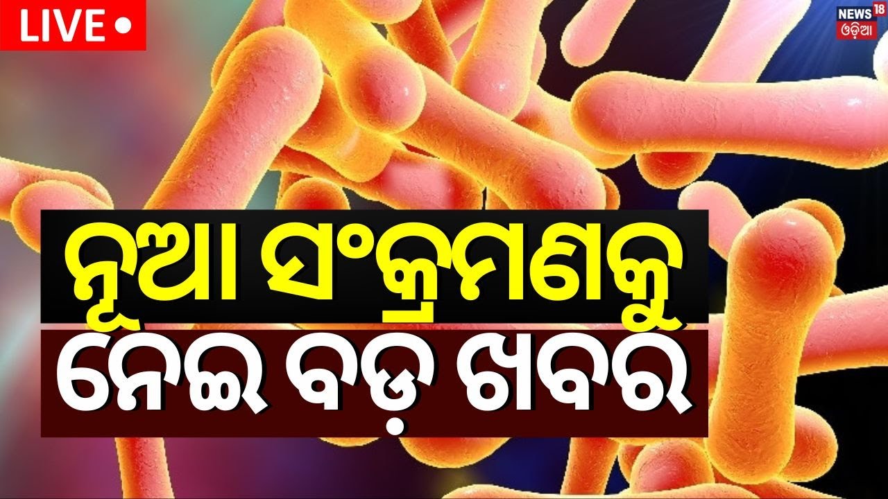 Diphtheria Virus News Live:ନୂଆ ଭାଇରସ୍‌କୁ ନେଇ ବଡ଼ ଖବର|Diphtheria Outbreak In Odisha |Mask In Rayagada