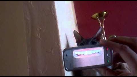 MouthPot, turn your phone into a virtual mouth, for Nokia Symbian, Maemo, Meego