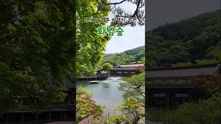 당일치기 여행지 추천 화담숲