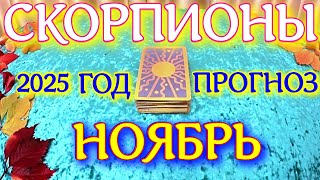 видео: ГОРОСКОП СКОРПИОНЫ НОЯБРЬ МЕСЯЦ ПРОГНОЗ ТАРОСКОП. 2025 ГОД virgo tarot today картинка: ГОРОСКОП СКОРПИОНЫ НОЯБРЬ МЕСЯЦ ПРОГНОЗ ТАРОСКОП. 2025 ГОД virgo tarot today