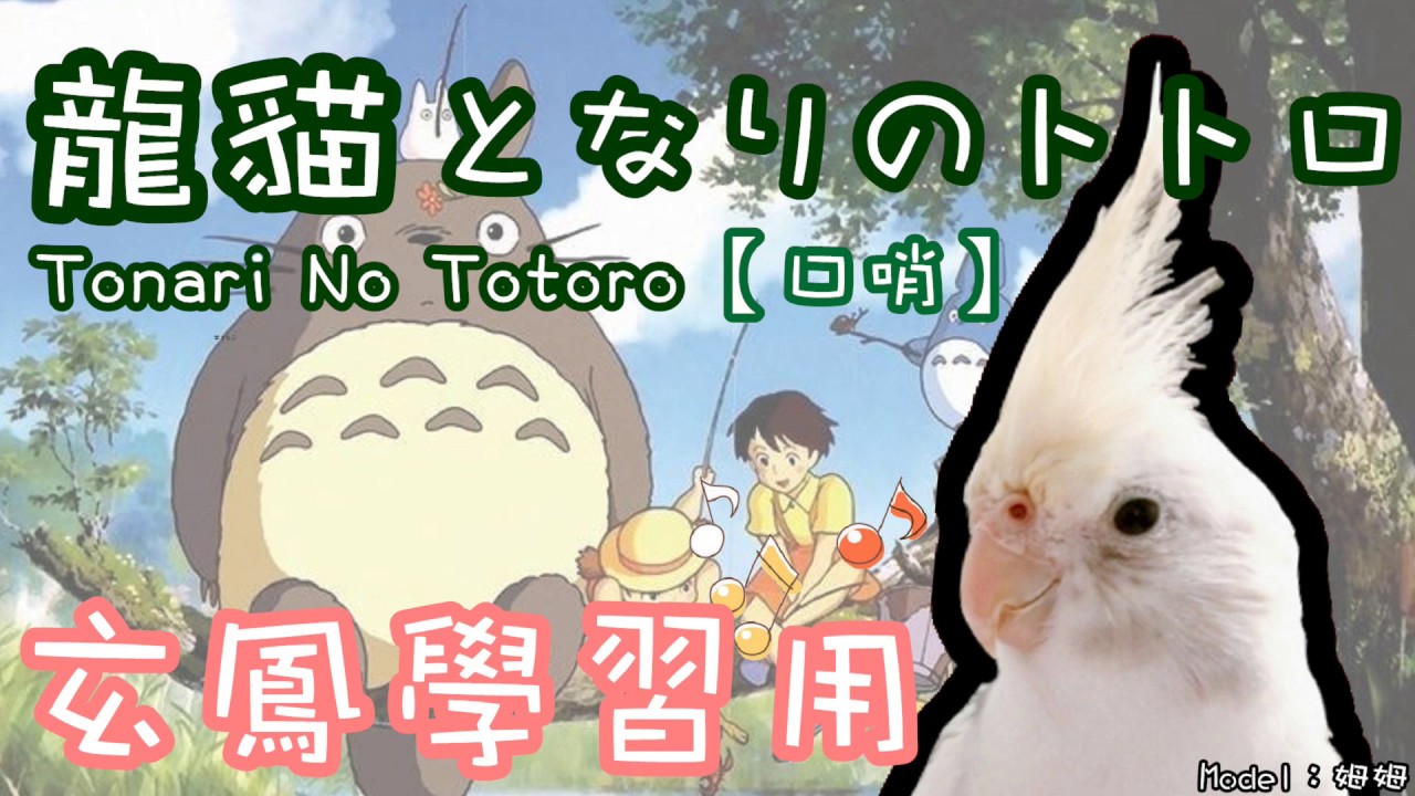 龍貓口哨版 || となりのトトロ || Tonari No Totoro 縮圖