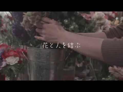 ア・ヌー2018お正月テレビCM