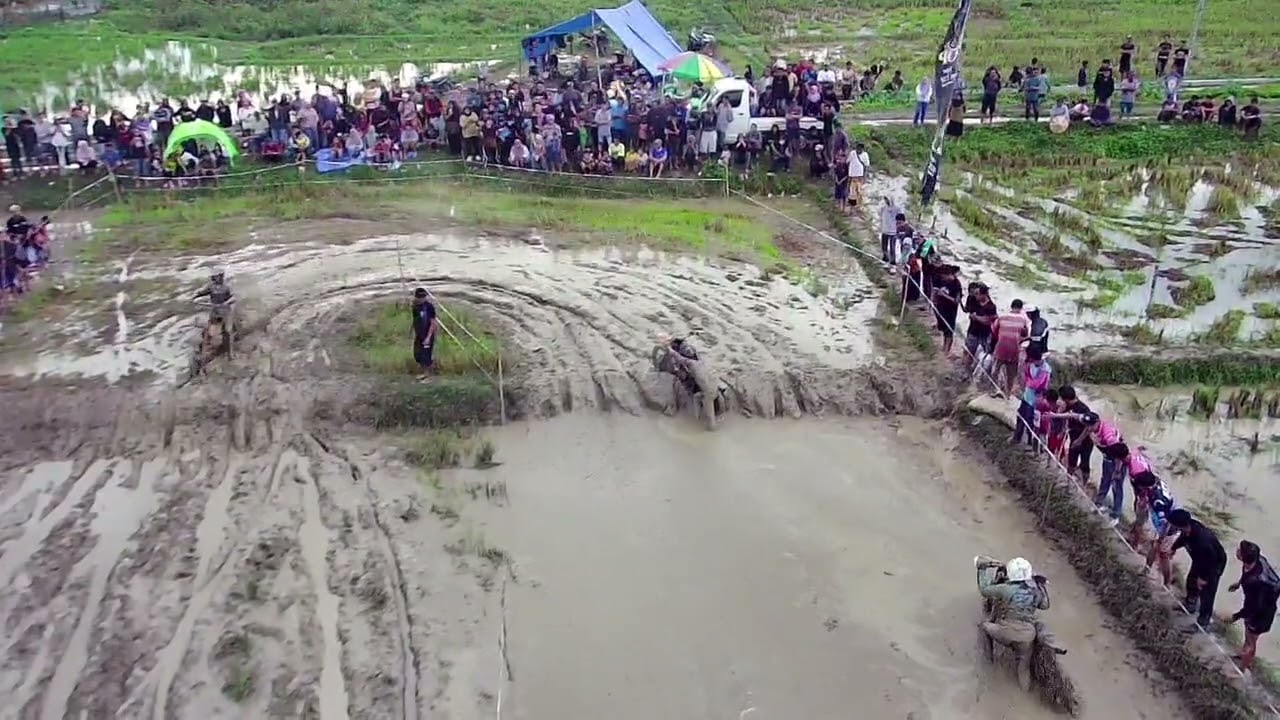 Pesta panen balap ojek sawah Mowewe kolaka timur di sponsori ,AJ CAFE, SURYANA NUSANTARA, TOP COFFEE