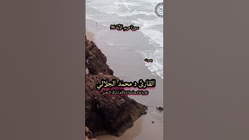 سورة مريم الآية 96 بصوت القارئ د محمد الجلالي تلاوة خاشعة ماشاءالله.         #اكسبلور_القرآن_الكريم