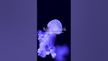 تلاوة خاشعة #tanding #اكسبلور #trendingvideo #دويتو #المصحف #duet #راحة_نفسية #قرآن #لايك #fyp