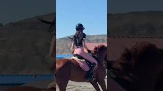 Life has a high margin for error; three left turns are often the right turn. #horse #horsevideo
