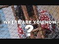 Where are you now   sonyblvck official music