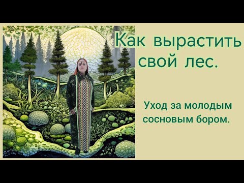 Как вырастить свой лес. Выпуск 1. Уход за молодым сосновым бором.