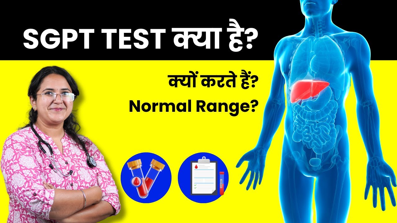 sgpt-test-kya-hota-hai-sgpt-badhne-se-kya-hota-hai-aur-ye-kyu-badhta