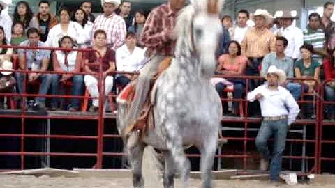 EXPO CABALLOS TOLUCA 2010; JUVE GONZALEZ Y POTRO PRE '' EL BRILLANTE '''