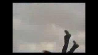 Smallville - Action In Sum 41