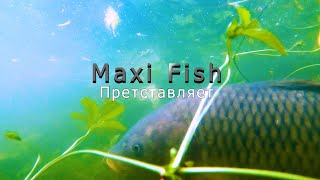 Интро Maxi Fish Пишите Ваше Мнение