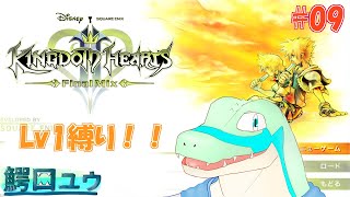 【キングダムハーツ2FM】Lv1でも闇etc…と戦えます！ #09 【鰐口(わにぐち)ユウ Vtuber】