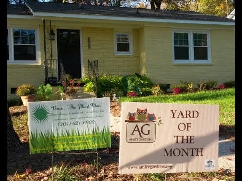 Vann, "The Plant Man": Amity Gardens Neighborhood Yard of the Month!