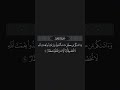 وآتاكم من كل ما سألتموه وإن تعدوا نعمت الله لا تحصوها إن الإنسان لظلوم كفار قرآن Quran