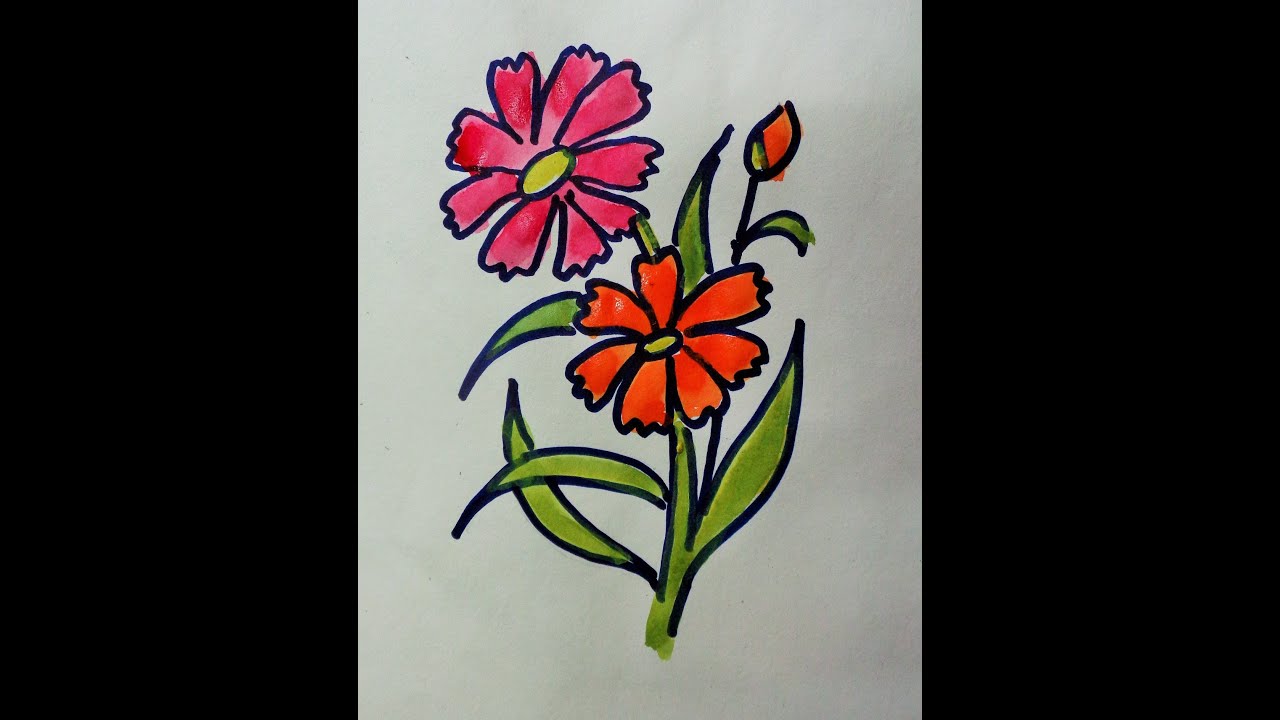 periwinkle flower drawing