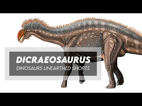 Dicraeosaurus - A Spined Sauropod