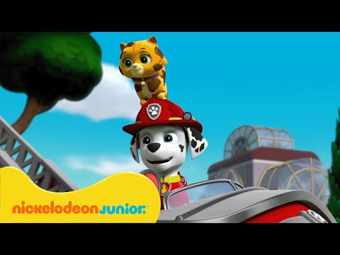 Paw Patrol La Pat' Patrouille Super-jumeaux, super-chiots ! - Nickelodeon