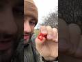 Šípek nejlepší zdroj vitaminu C. A proč ti řeknu v tomhle videu.