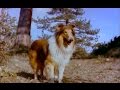 The Painted Hills LASSIE western movie full length COLOR with special interview