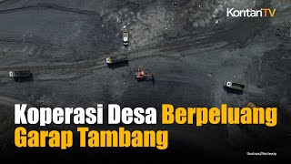 Koperasi Desa Merah Putih Berpeluang Garap Tambang | Kontan News