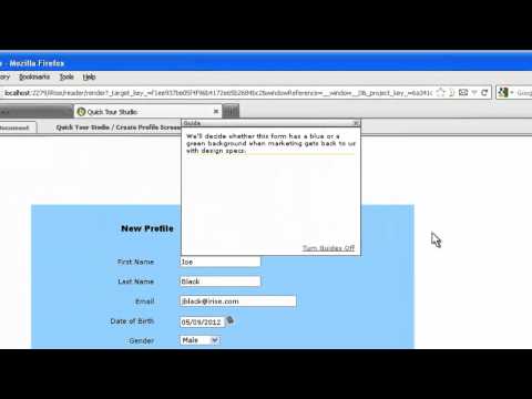 Previewing Your Simulations in iRise Reader