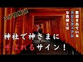 神社で神様から呼ばれるサイン！歓迎されているスピリチュアルな兆候とは?