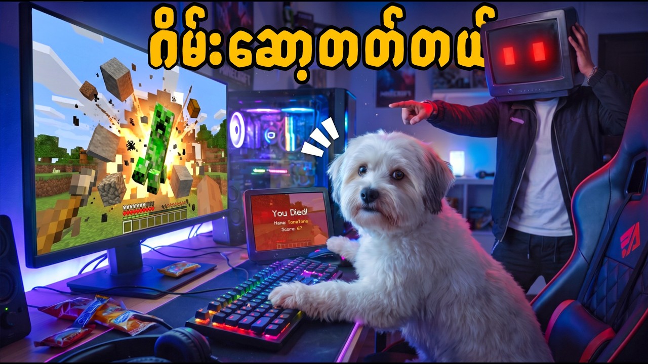 ကျွန်တော် ခွေးလေးကို ဂိမ်းဆော့တတ်အောင် သင်ပေးခဲ့တယ်! | I Taught my Dog How to Play Game
