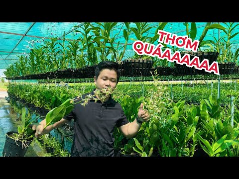 Video CHAN CHAO NÂU CÁNH XOẮN, VIỀN CHỚP RẤT ĐẸP |... - youtube