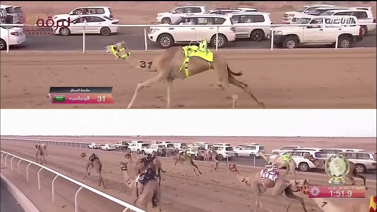 ش3 مزدلفة لـ مانع علي محمد حمد الشامسي (ولي العهد بالسعودية 29-8-2022) كأس اللقايا بكار عام 5:58:81