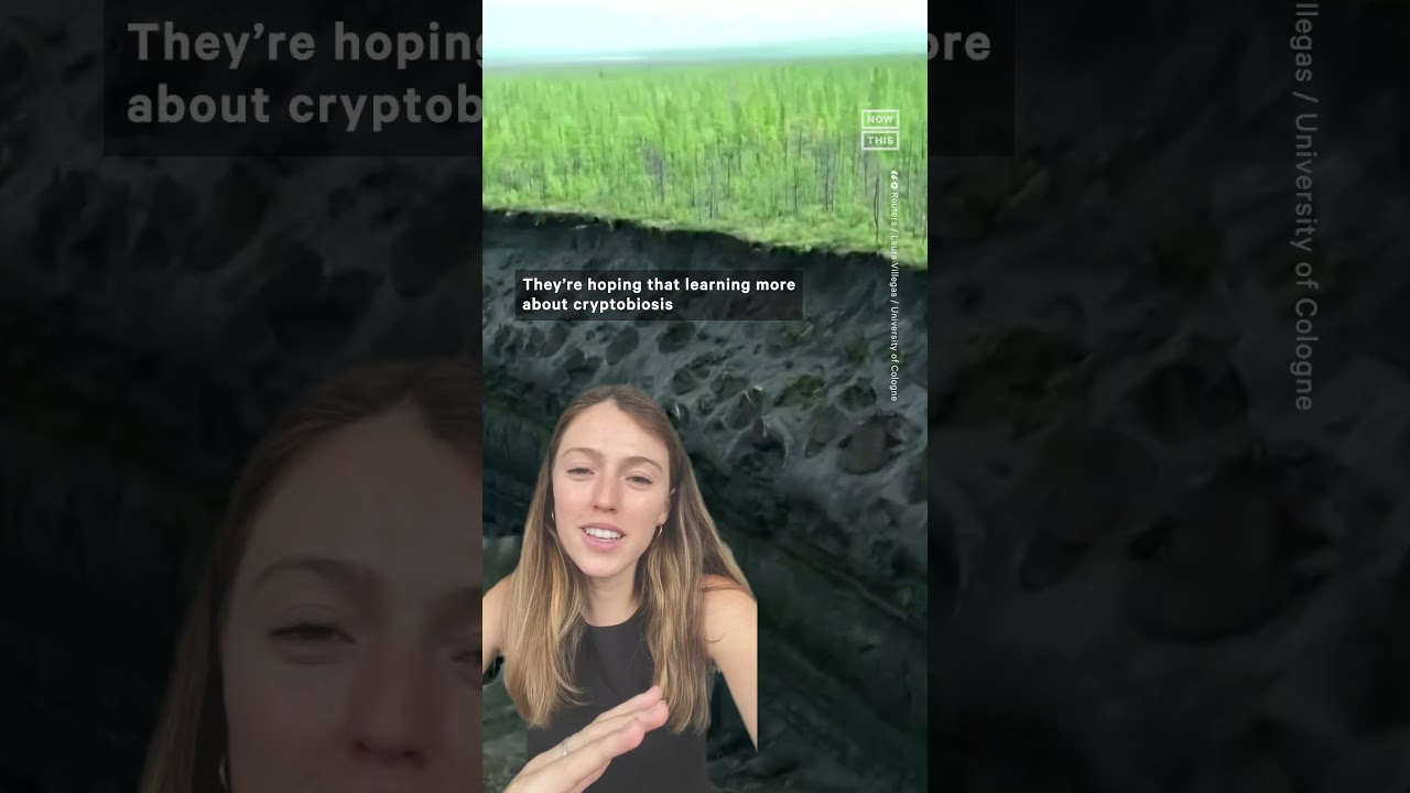 Worm Revives After 46,000 Years in Siberian Permafrost