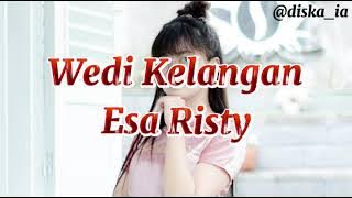 Wedi Kelangan | Yang udan e wes teko (LIRIK) || Esa Risty