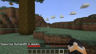 013   Minecraft   Epic Jump Map Valentines Part 3!