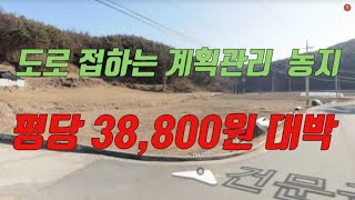 도로 접하는 문전옥답 계획관리 농지가   반값.