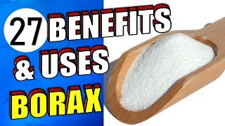 27 Brilliant Uses & Health Benefits of Borax For Around the House screenshot 3