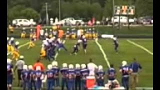 Flea Flicker