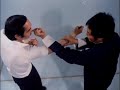 Ving Tsun - Wing Chun (Винг Чун) - Джат Да