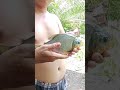 VIRAL Petani Ini SUKSES Mancing Ikan BAWAL Yang Cantik Bolang RockyGerungOfficial 2024 VIRAL Petani Ini SUKSES Mancing Ikan BAWAL Yang Cantik Bolang RockyGerungOfficial 2024