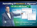 Font & Number formatting in MS Excel