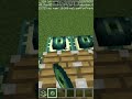 minecraft tik tok hack #minecraft #shorts