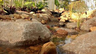 Backyard Pondless Waterfall