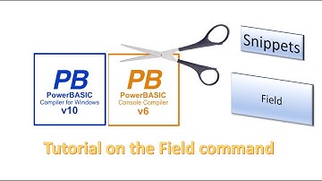 PowerBasic Snippets - Tutorial on using the Field command