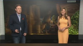 Mike Myers, Eddie Murphy, Cameron Diaz reprise roles in Shrek sequel